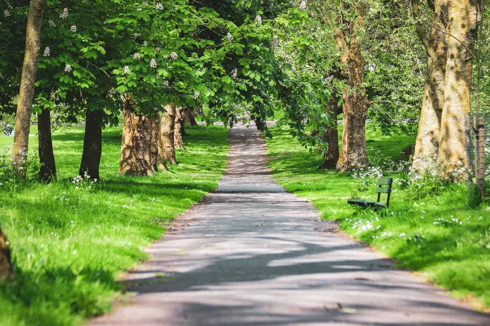 Serving the Live Oak, Texas Community with Expertise — Live Oak, TX